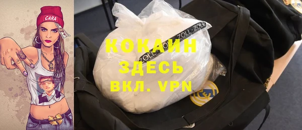 индика Алексин