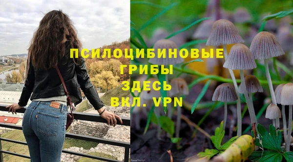 гидропоника Абаза