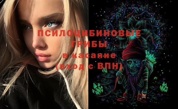 гидропоника Абаза