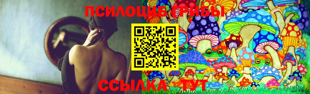 Касимов  Галлюциногенные грибы Psilocybine cubensis  даркнет сайт  Галлюциногенные грибы прущие грибы  Вход с VPN 